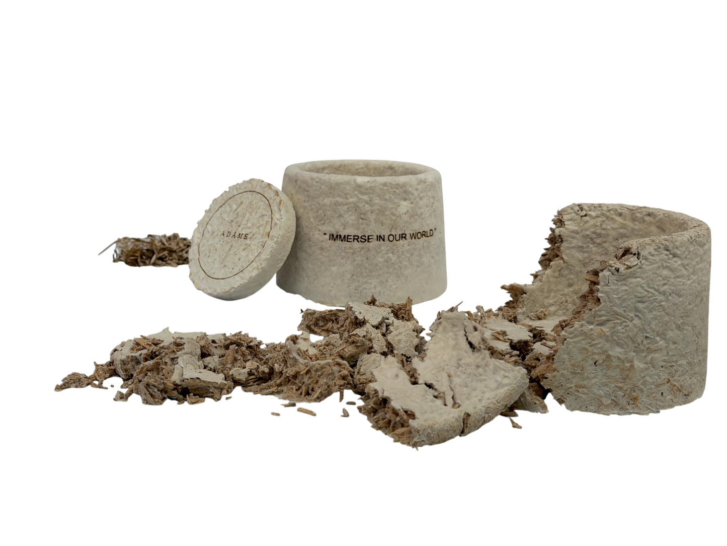 Discovery Set (mushroom container) • Adâme