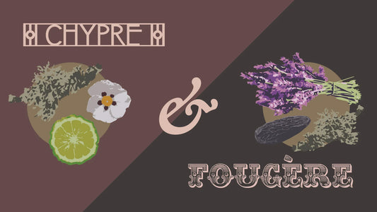 Chypres & Fougères