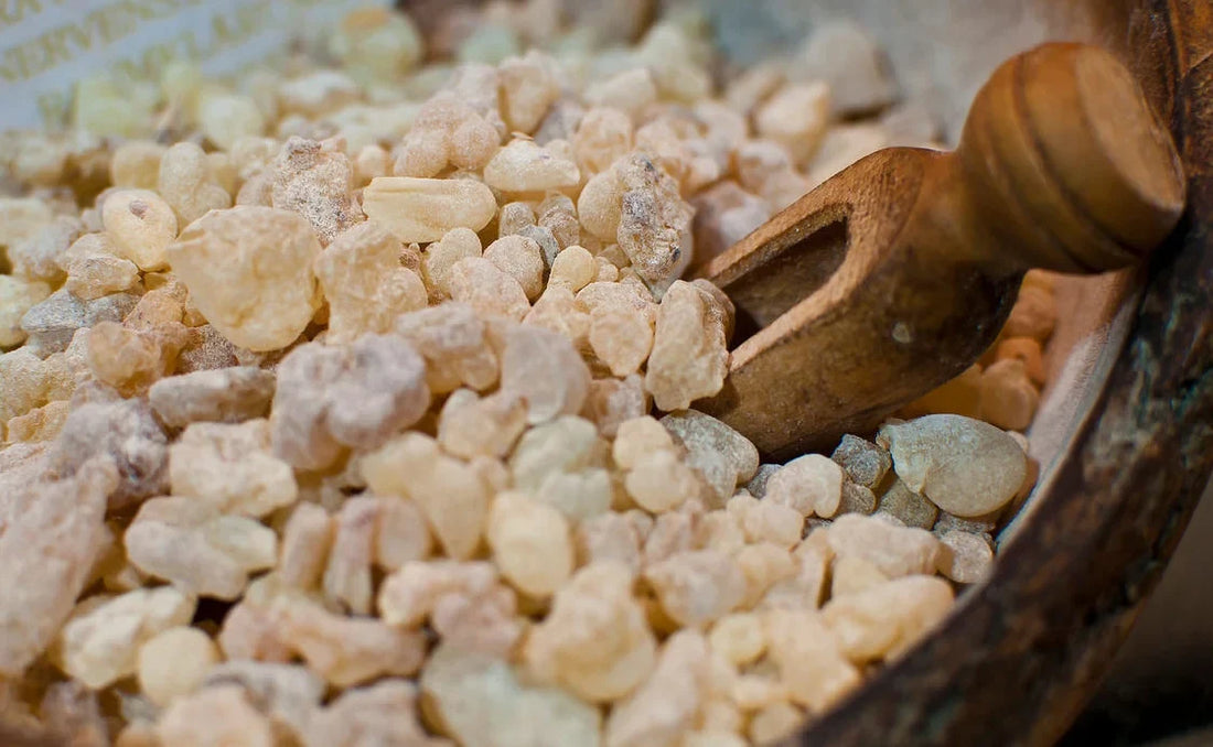 Notes No. 2: Exploring Perfumery's Raw Materials