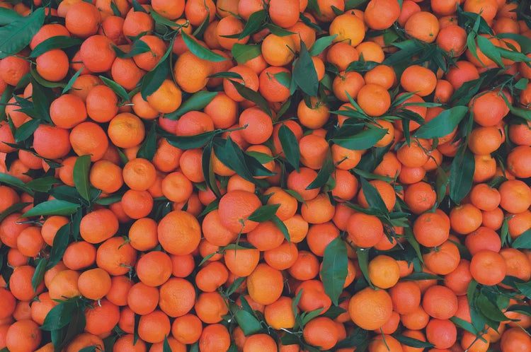 Citrus