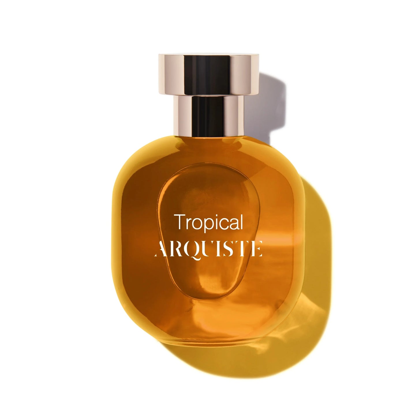 Tropical • Arquiste