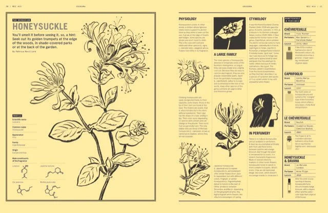 Nez: The Olfactory Magazine 15