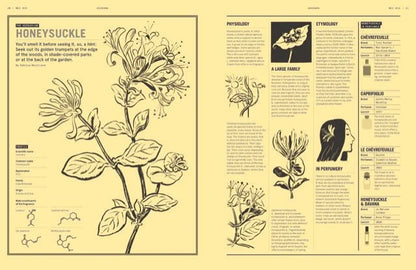 Nez: The Olfactory Magazine 15