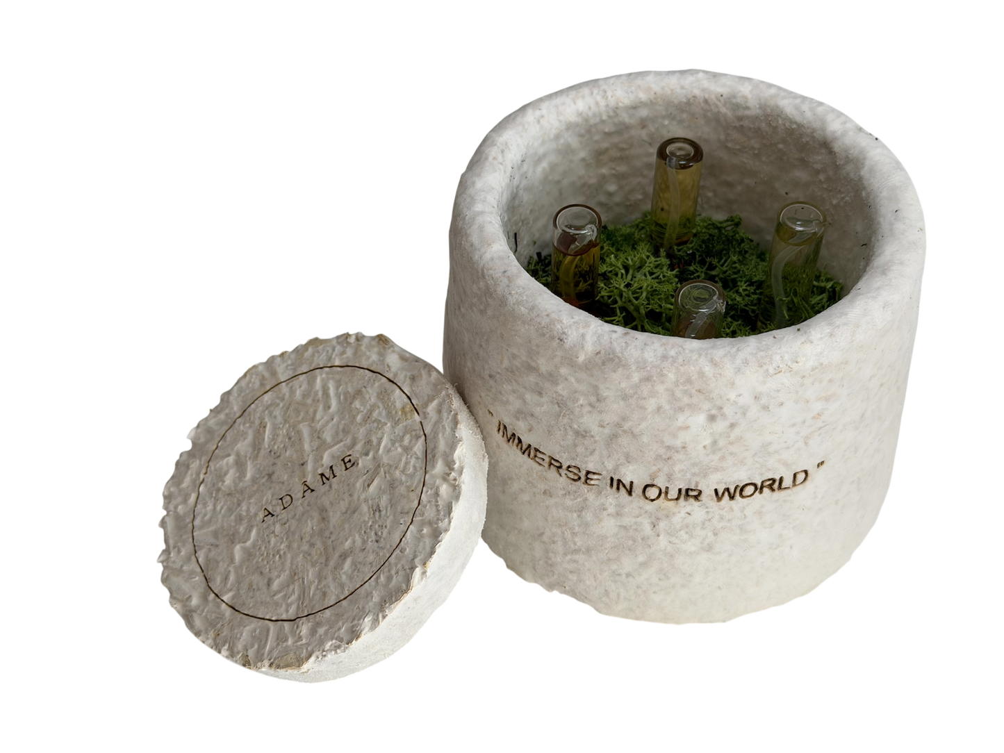 Discovery Set (mushroom container) • Adâme