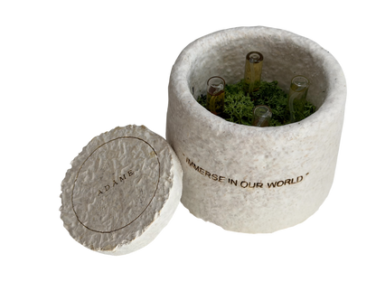 Discovery Set (mushroom container) • Adâme
