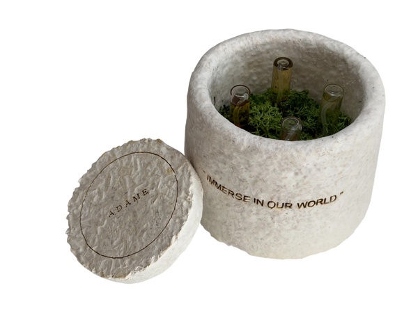 Discovery Set (mushroom container) • Adâme