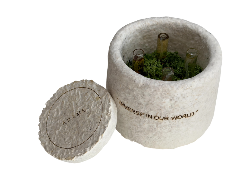 Discovery Set (mushroom container) • Adâme