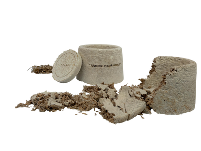 Discovery Set (mushroom container) • Adâme