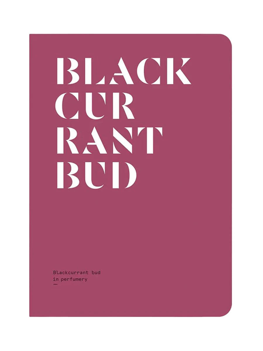 Black Currant in Perfumery • Nez + LMR