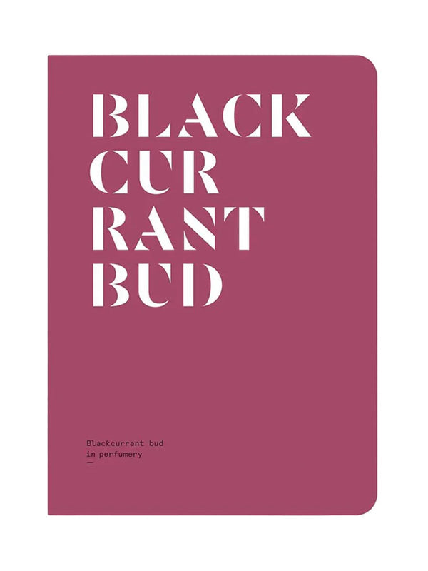 Black Currant in Perfumery • Nez + LMR