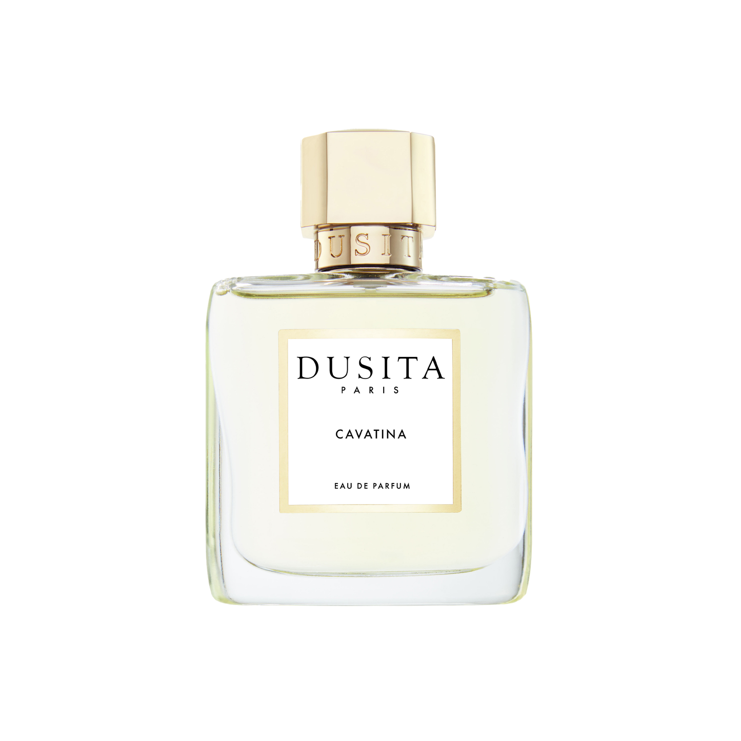 Cavatina • Dusita