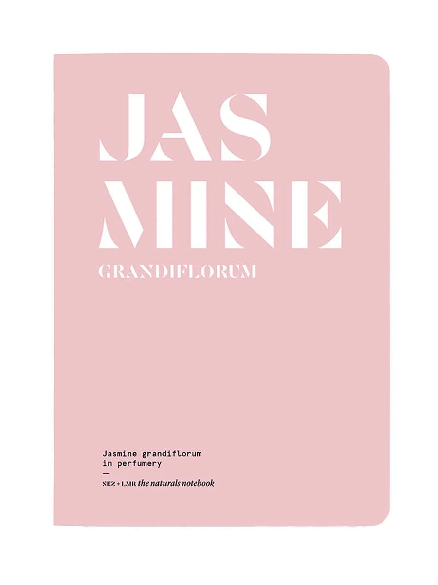 Jasmin Grandiflorum in Perfumery • Nez + LMR