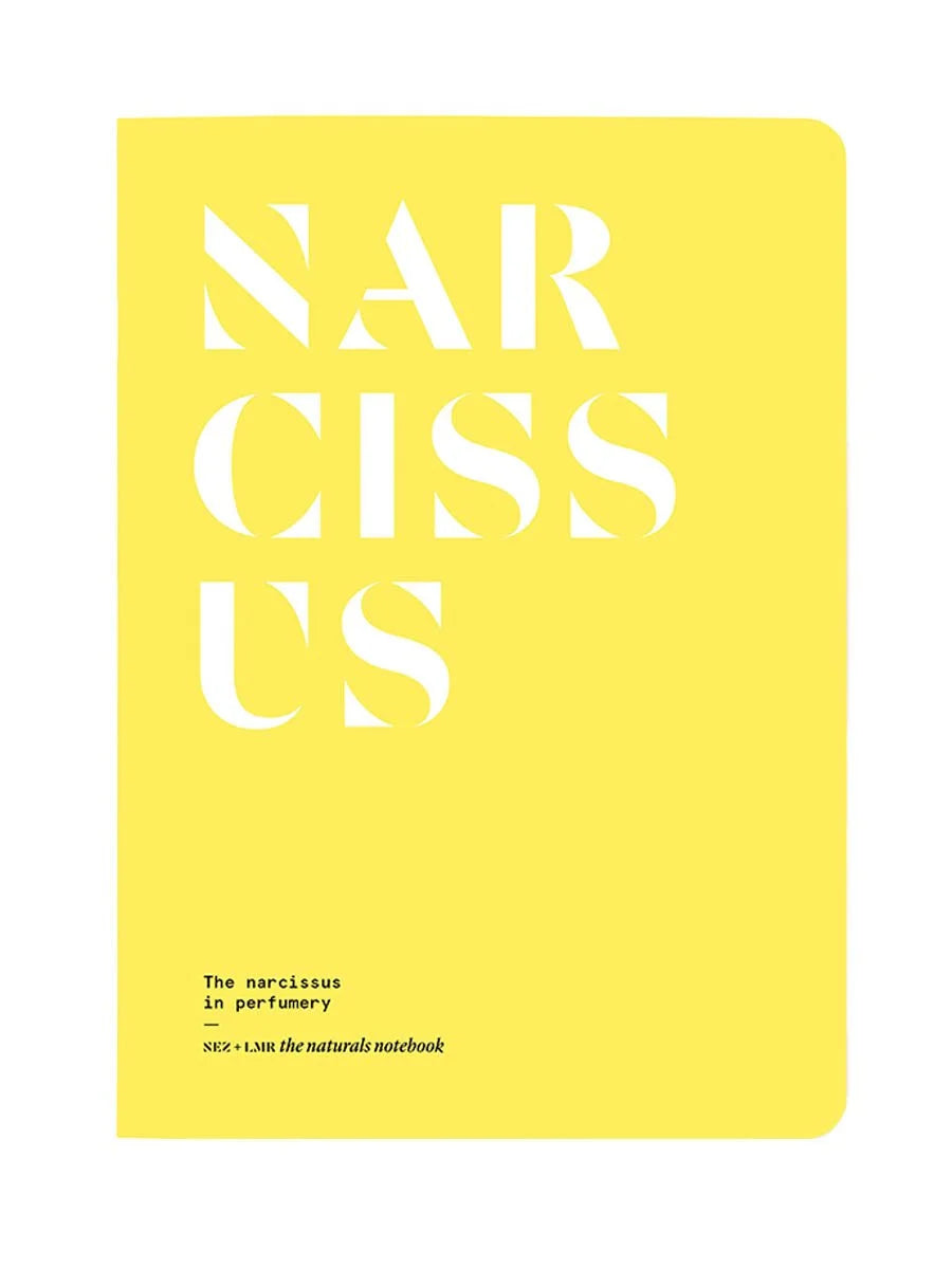 Narcissus in Perfumery • Nez + LMR